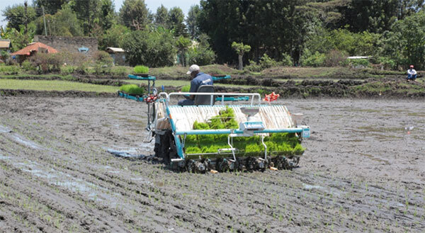 A worker operates a planting machine in a muddy field as part of an agricultural project in Kenya, supported by JICA, highlighting efforts to improve farming efficiency.